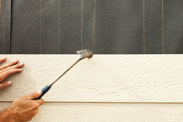 Best Custom Trim and Detailing for Siding  in Squirrel Mountain Valley, CA